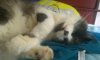WP_20160814_13_16_47_Pro.jpg