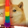 doge.jpg