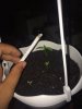 IMG_20170609_000347.jpg