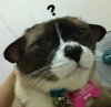 FB_IMG_1521202301101.jpg