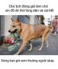 FB_IMG_1550591475265.jpg