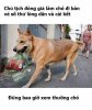 FB_IMG_1550591475265.jpg