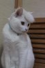 FB_IMG_1562635482335.jpg