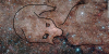 upload_2019-8-9_2-6-48.png