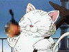 upload_2019-9-21_21-36-4.png