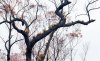 DDECCEA0-A252-4180-8B61-1C9B7D287635.jpeg