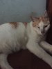 3D07BA56-96D4-48DB-BEAA-5DD4A7C60F5E.jpeg