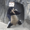 G2.gif