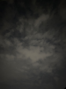 IMG_2084.png