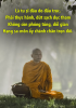 556823ED-04C8-4B6A-8A13-E368F33991B9.png