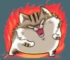 upload_2022-4-17_9-15-5.jpeg