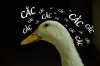A8D58DEB-EEFE-4DD7-90EF-6F2B7F7B1A9C.jpeg