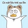 upload_2022-8-18_19-13-30.jpeg