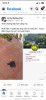 635387E3-1BC9-419B-BFC8-BE8A3BD255A9.jpeg