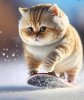 FB_IMG_1674550564407.jpg