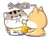 F6D701C5-80DA-41C8-B08A-7767BD44B205.jpeg