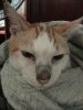 IMG_5100.jpeg