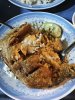 IMG_20240117_182851-01.jpeg