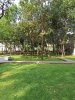 IMG_20240119_092030.jpg