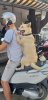 IMG_8080.jpeg