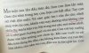 IMG_2696.jpeg