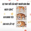 IMG_7589.jpeg