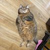 IMG_6112.jpeg