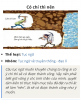 upload_2025-4-16_9-3-32.png