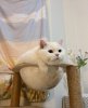 IMG_6207.jpeg