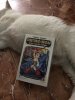 IMG_6577.jpeg