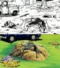FB_IMG_1746271571365.jpg