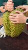 upload_2025-5-3_20-14-11.jpeg