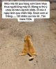 IMG_6555.jpeg
