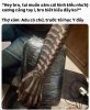 FB_IMG_1746348148043.jpg