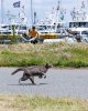 IMG_6714.jpeg