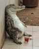 FB_IMG_1746697397098.jpg