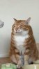 IMG_6762.jpeg