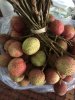 IMG_7253.jpeg