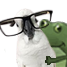 upload_2025-6-3_13-55-36.png