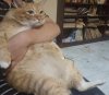 IMG_7571.jpeg