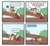 FB_IMG_1749701334888.jpg