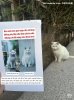 IMG_7623.jpeg