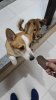 received_709637248329408.jpeg