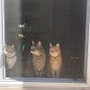 IMG_7624.jpeg
