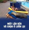 IMG_7641.jpeg