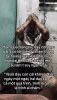 IMG_8812.jpeg