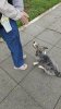 Messenger_creation_69460C6C-AB65-4C49-9318-00F820D1AB3F.jpeg