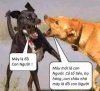IMG_2015.jpeg