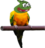PepegaParrot.png