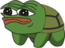 pepeTurtle.png